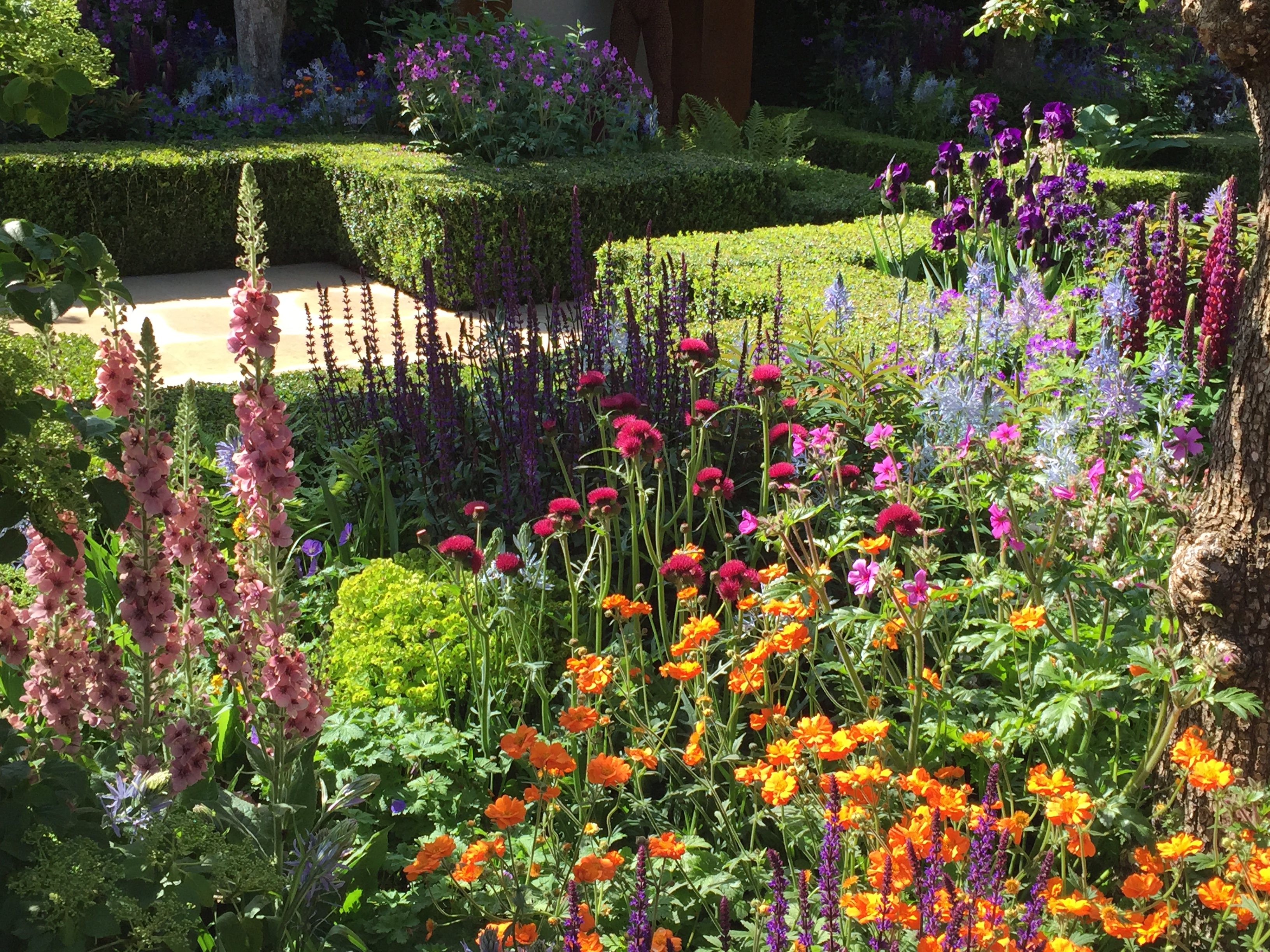 RHS Flower Show