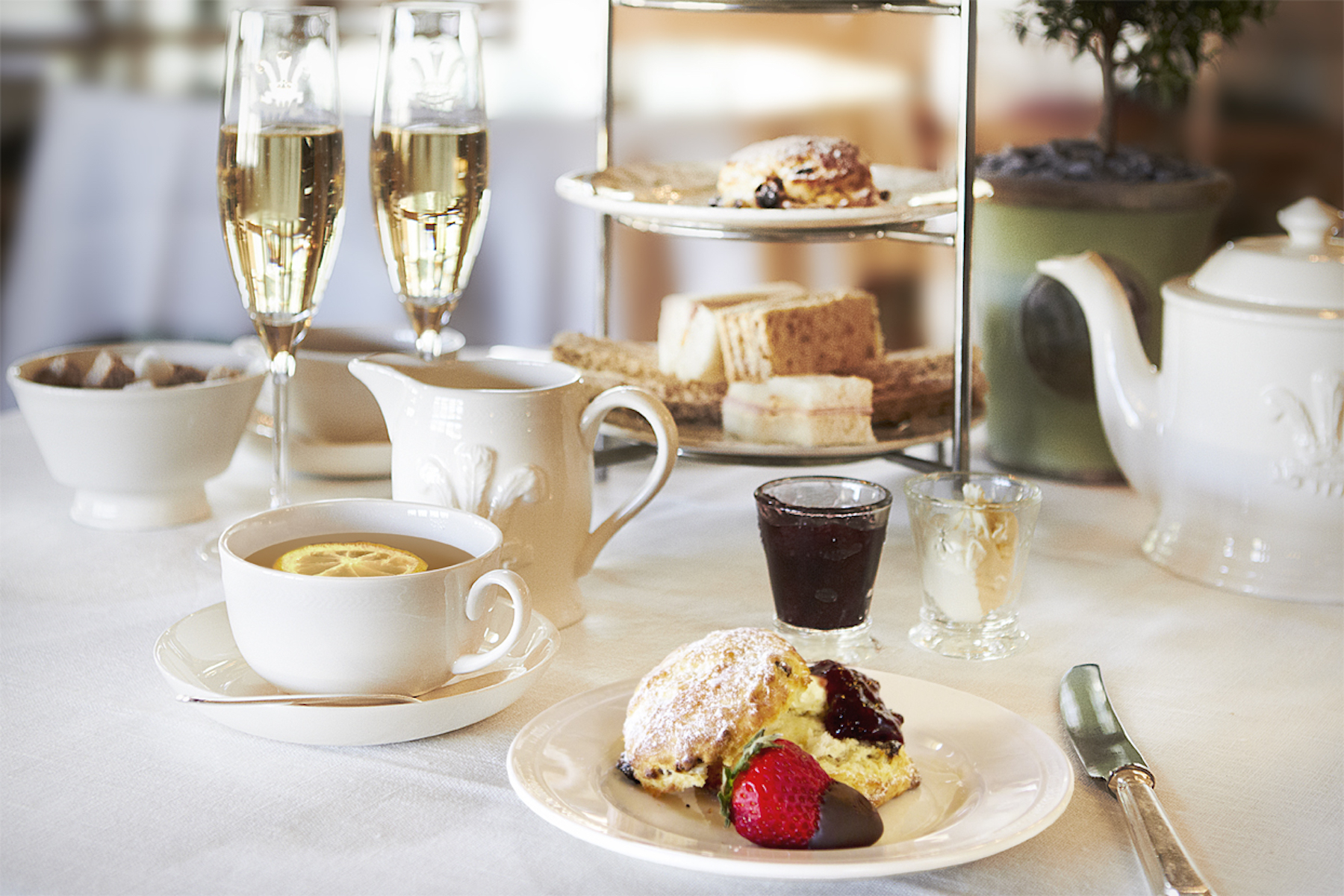 highgrove garden champagne tea tour