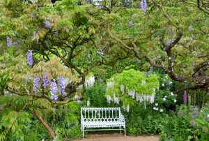 'After hours' at Hidcote Manor