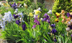 Godinton House, Kent