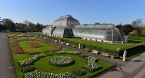 Palm House at Kew