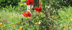 The Laskett Garden