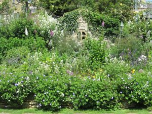Mill Dene Garden