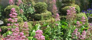 Mill Dene Garden