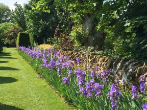Upton Wold