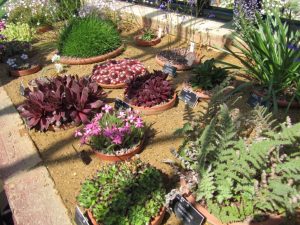 RHS Wisley