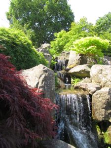 RHS Wisley