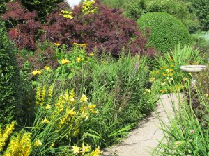 Veddw House Gardens