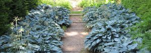 Veddw House Gardens