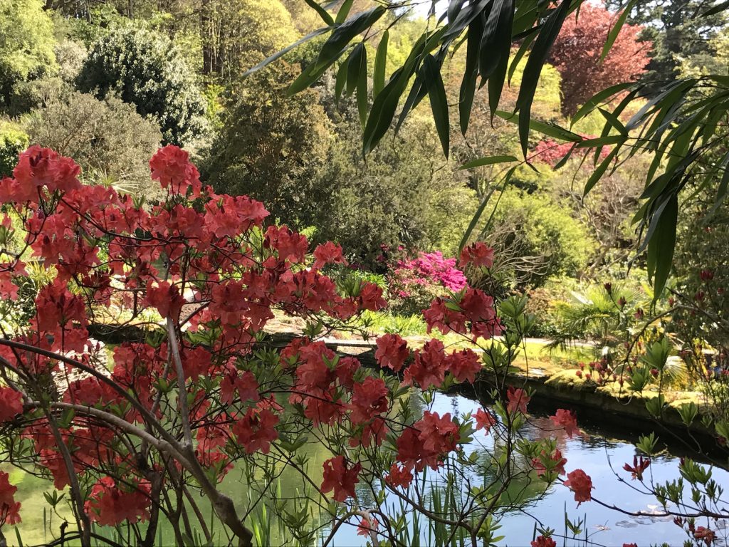 Coleton Fishacre 