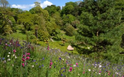 Glendurgan Garden