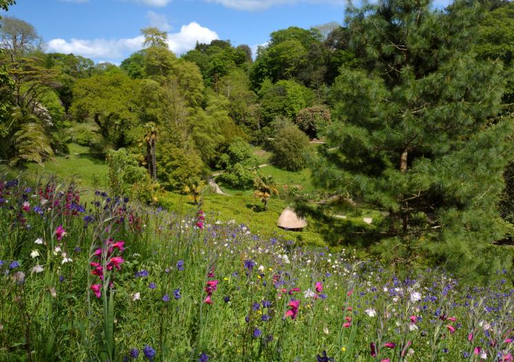 Glendurgan Garden