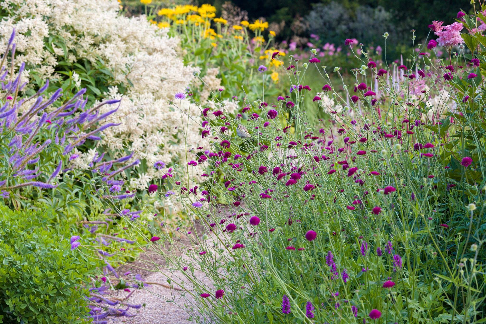 Trentham gardens