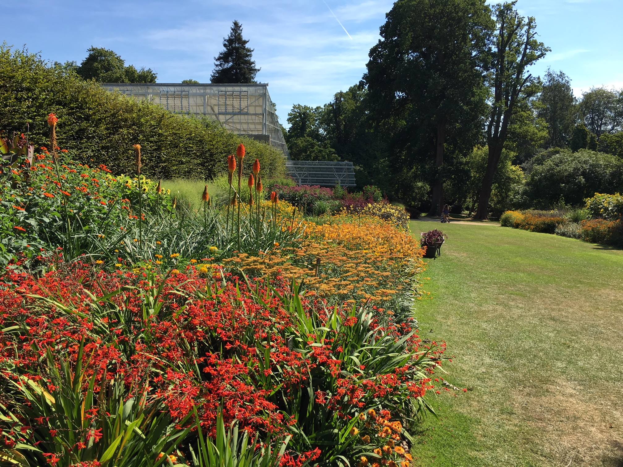 Savill Gardens