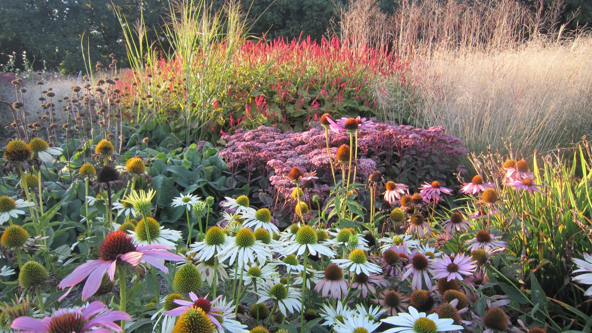 Sussex Prairie Garden - Sisley Garden Tours