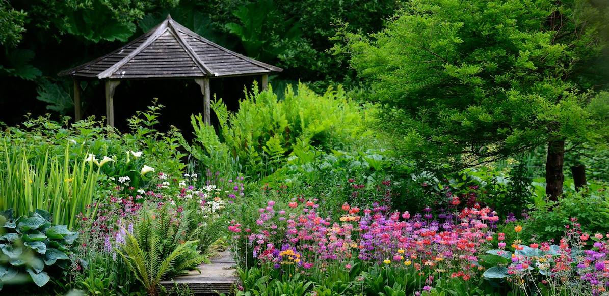 The Bay Garden, Camolin Sisley Garden Tours