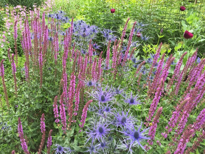 July planting