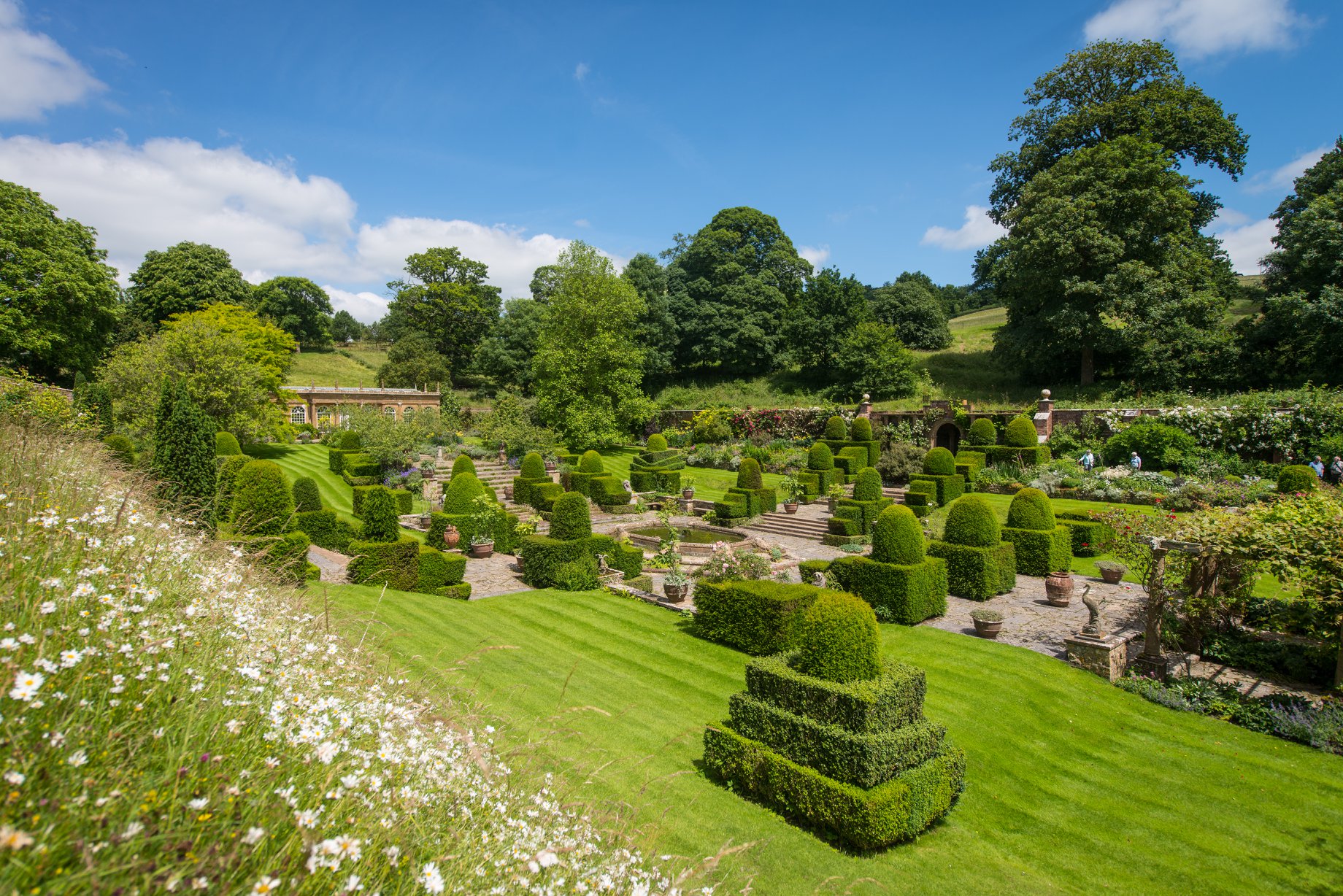 Mapperton House gardens 