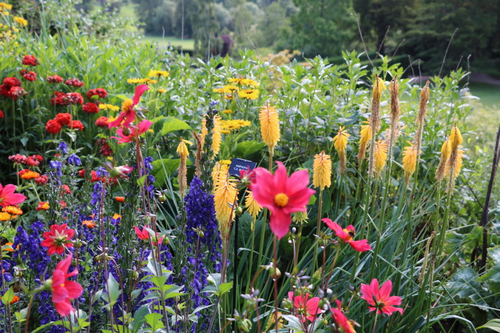 RHS Flower Shows 2023 with Sisley Garden Tours