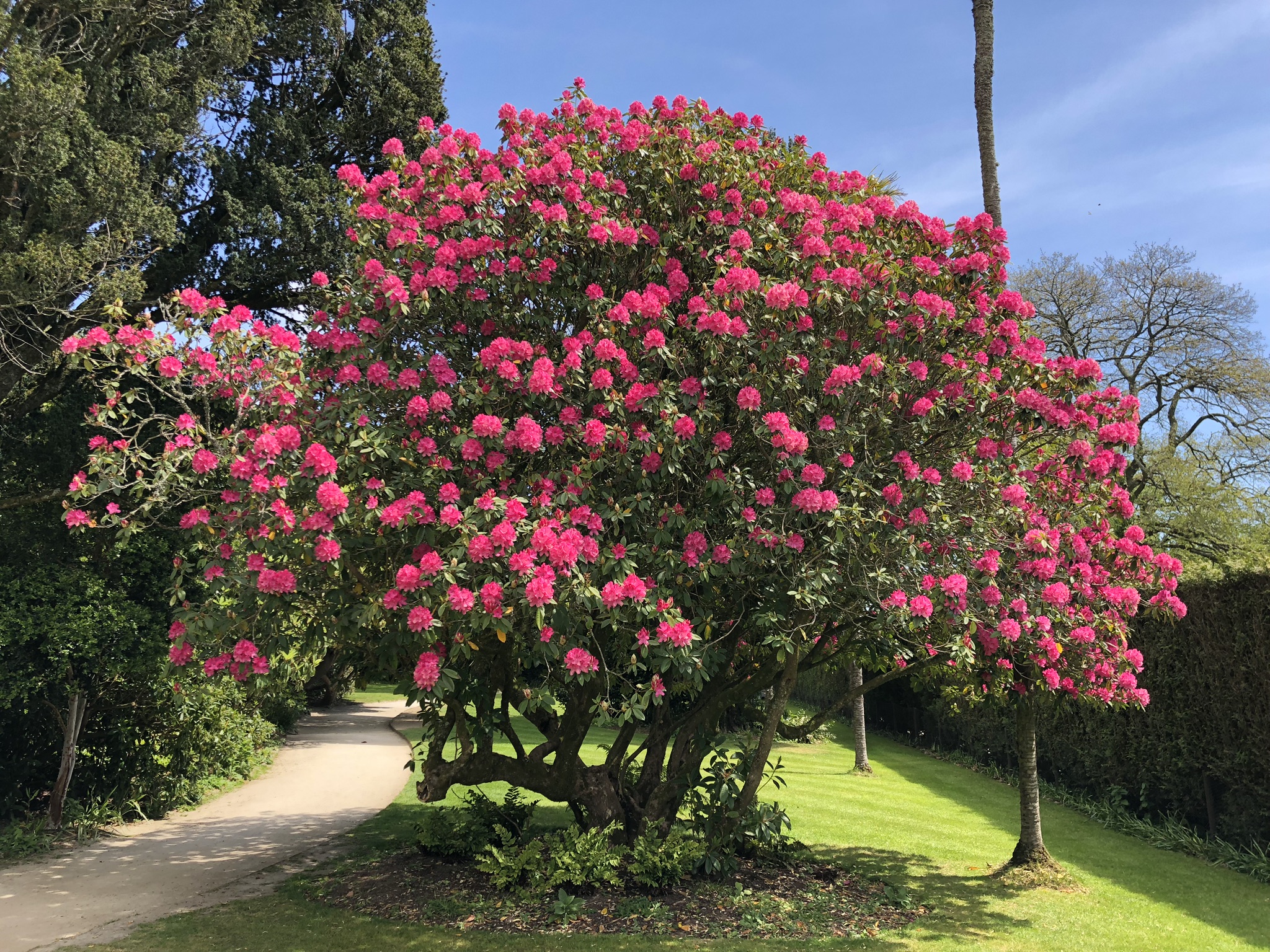 Lost Gardens of Heligan