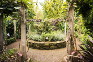 Chelsea Physic Garden