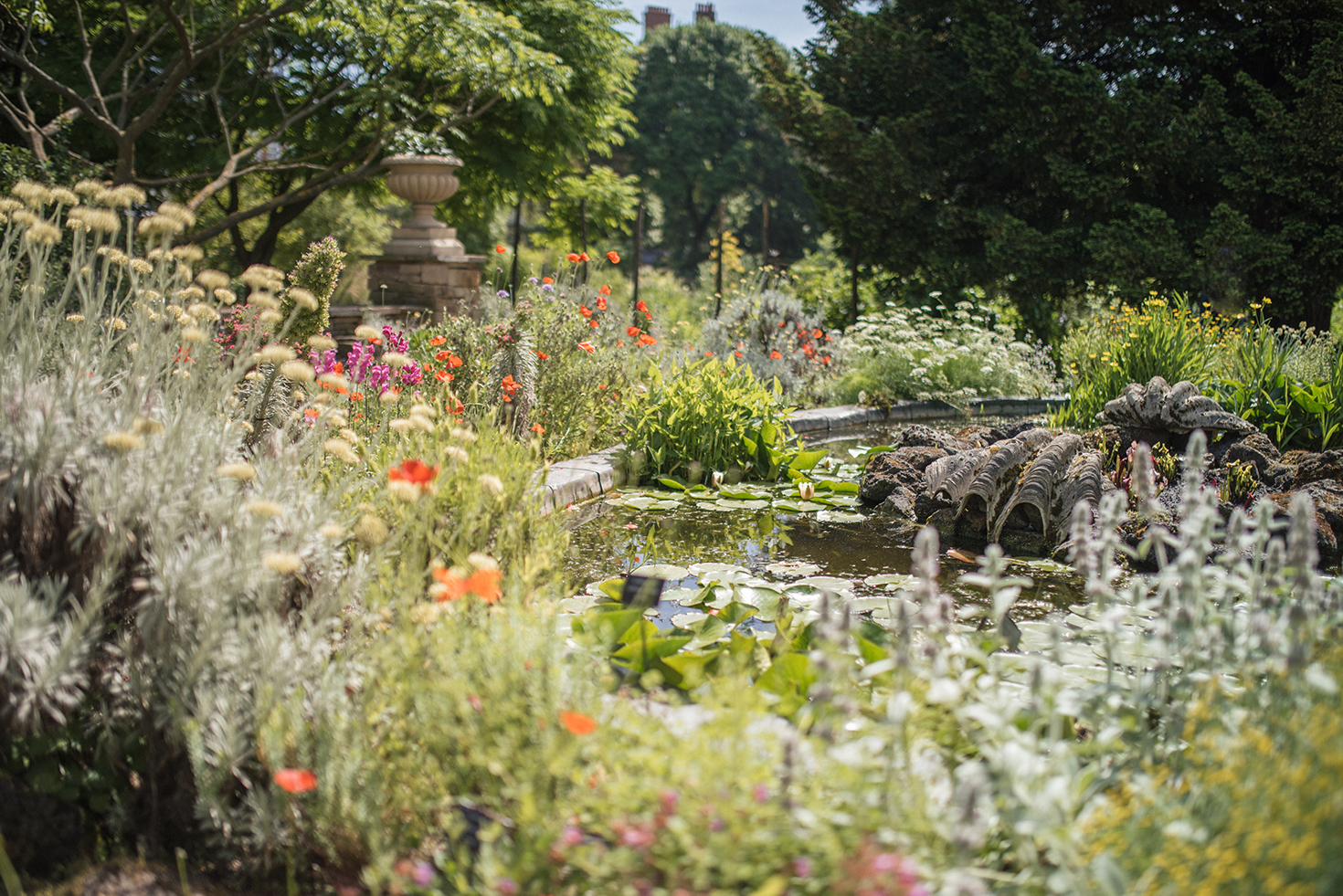 Chelsea Physic Garden pond and flowers at Chelsea Physic Garden