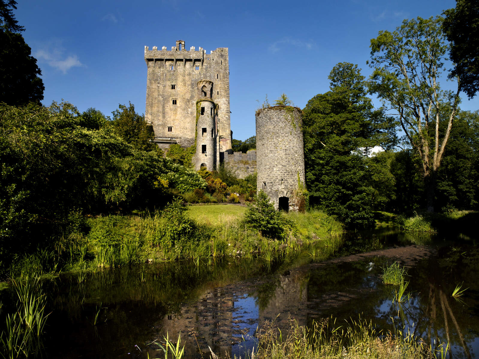 blarney castle tour cork