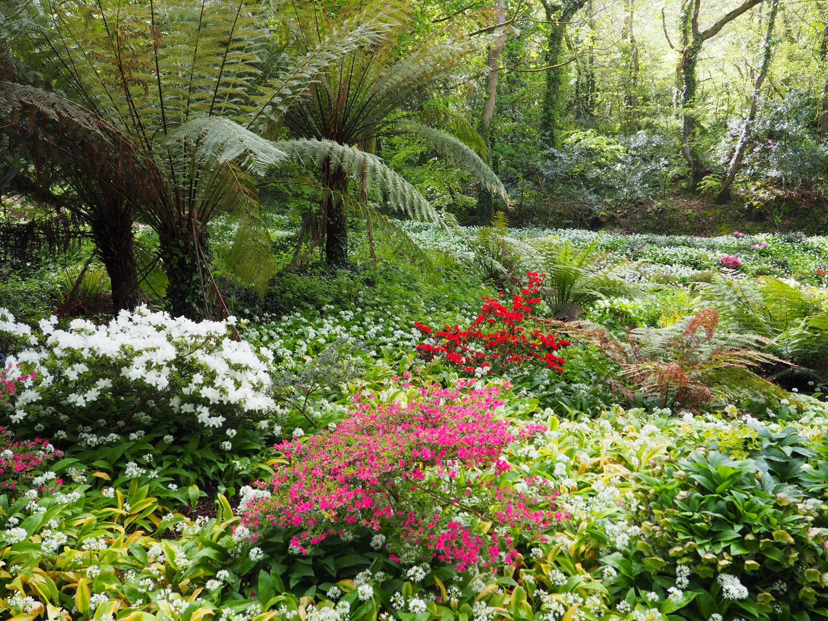 Bonython gardens 2