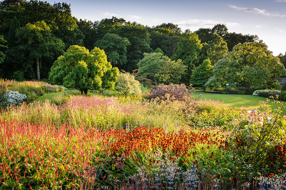 late summer flowers