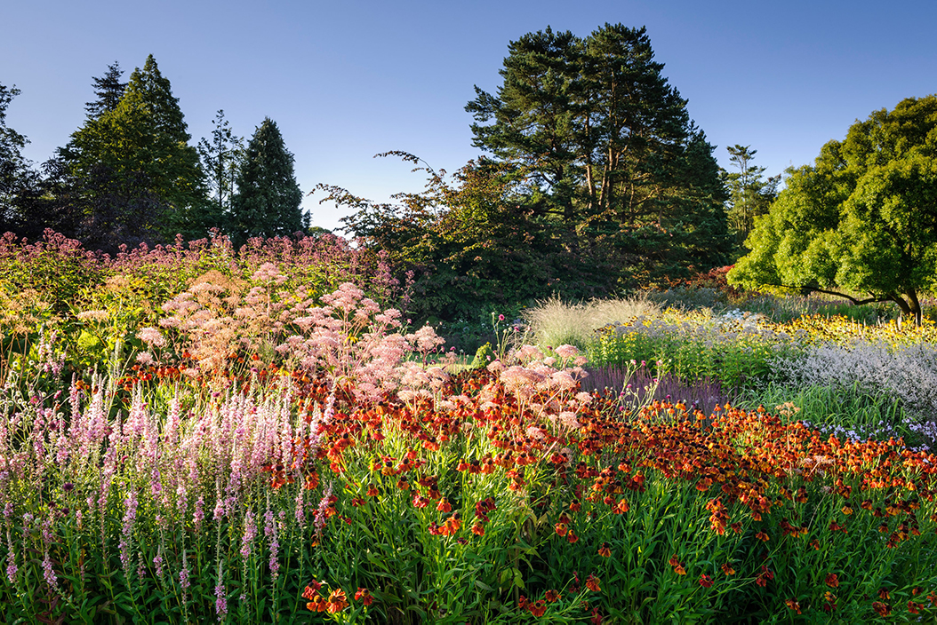 late summer flowers at harlow carr