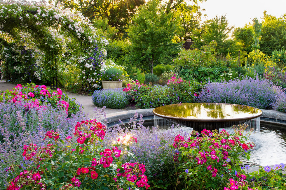 english garden tours chelsea flower show