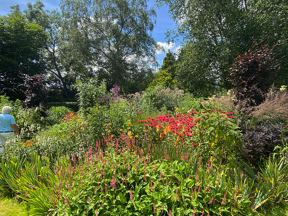 Highfield