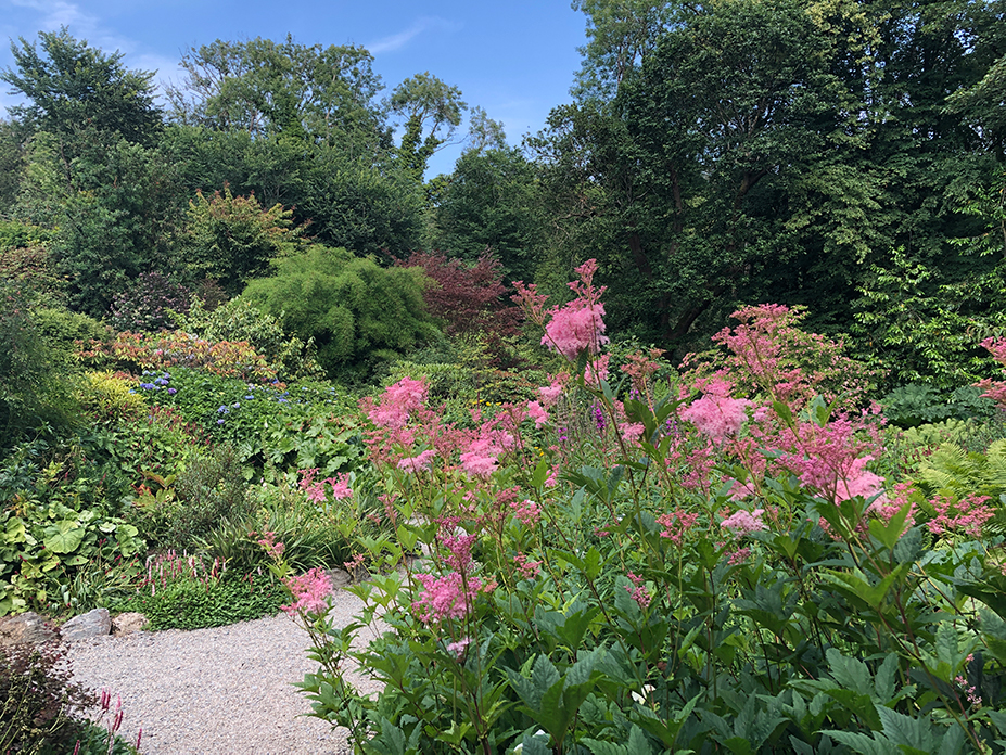 Plas Cadnant