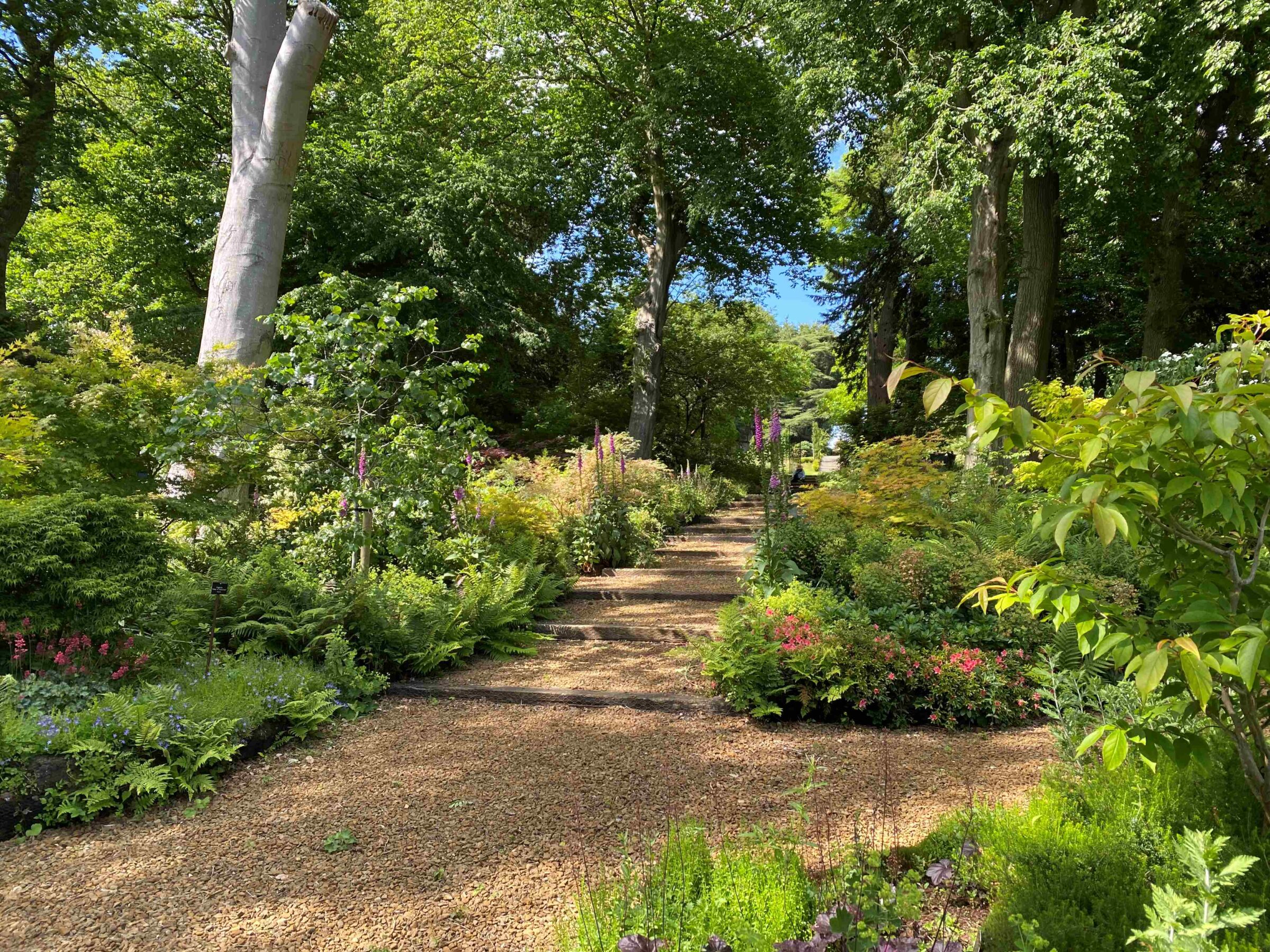 Exclusive Gardens & Magnificent Roses in the heart of England 2024
