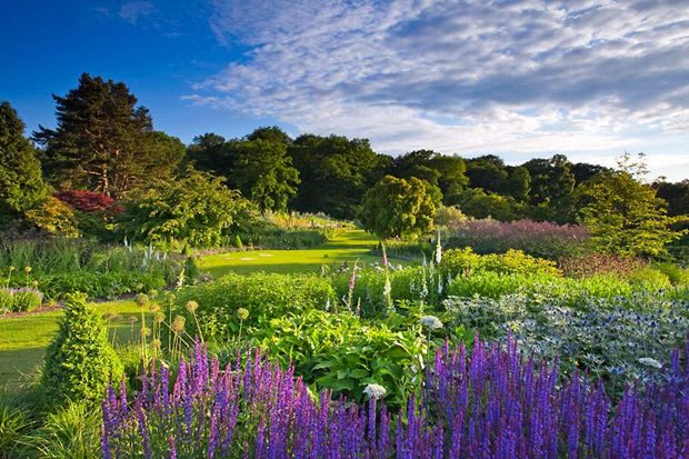 The Bay Garden