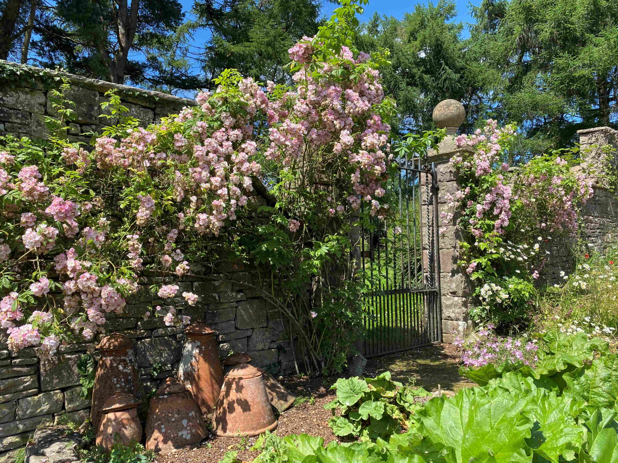 2025 Garden Tour Preview