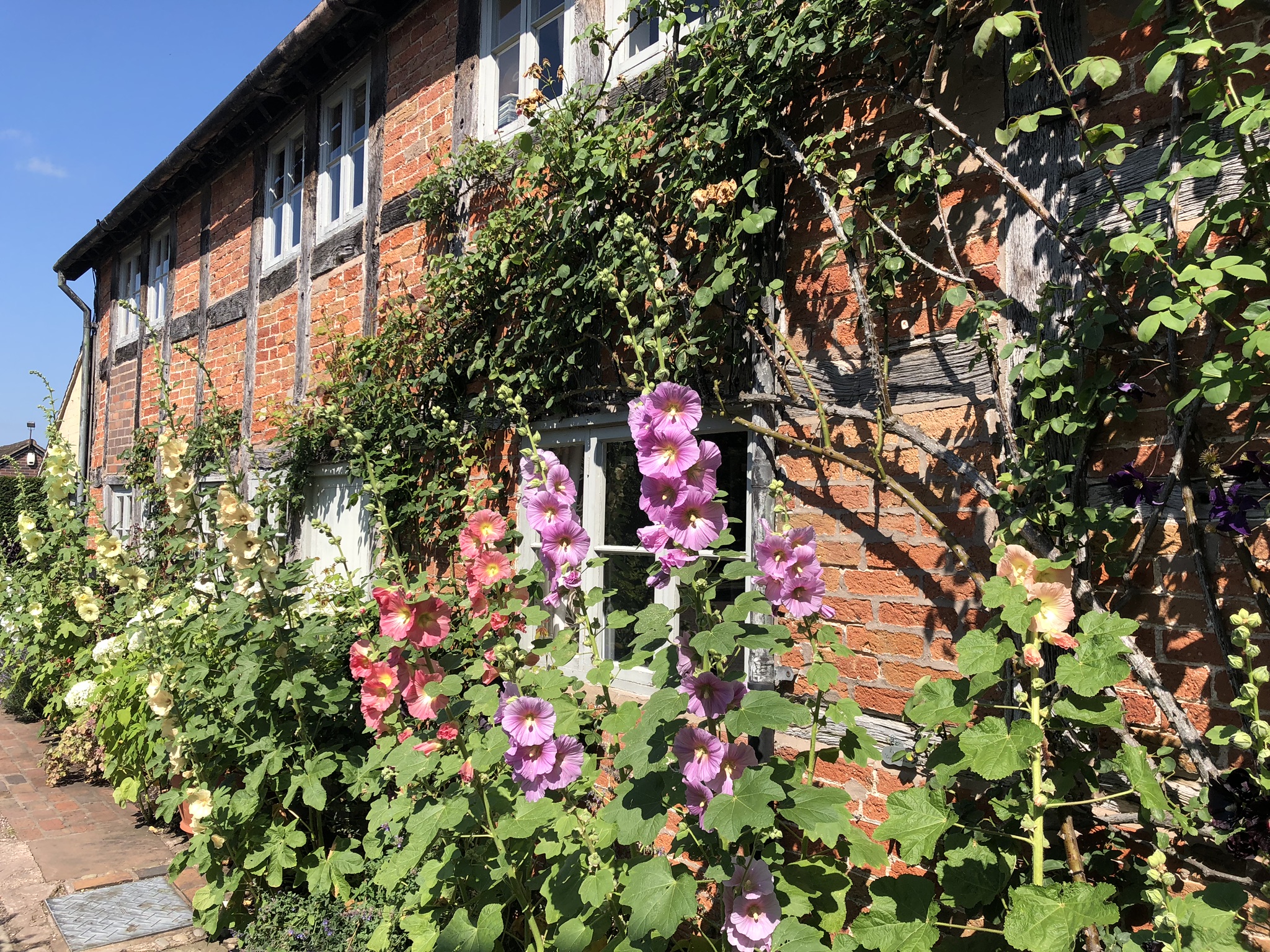 2025 Garden Tour Preview