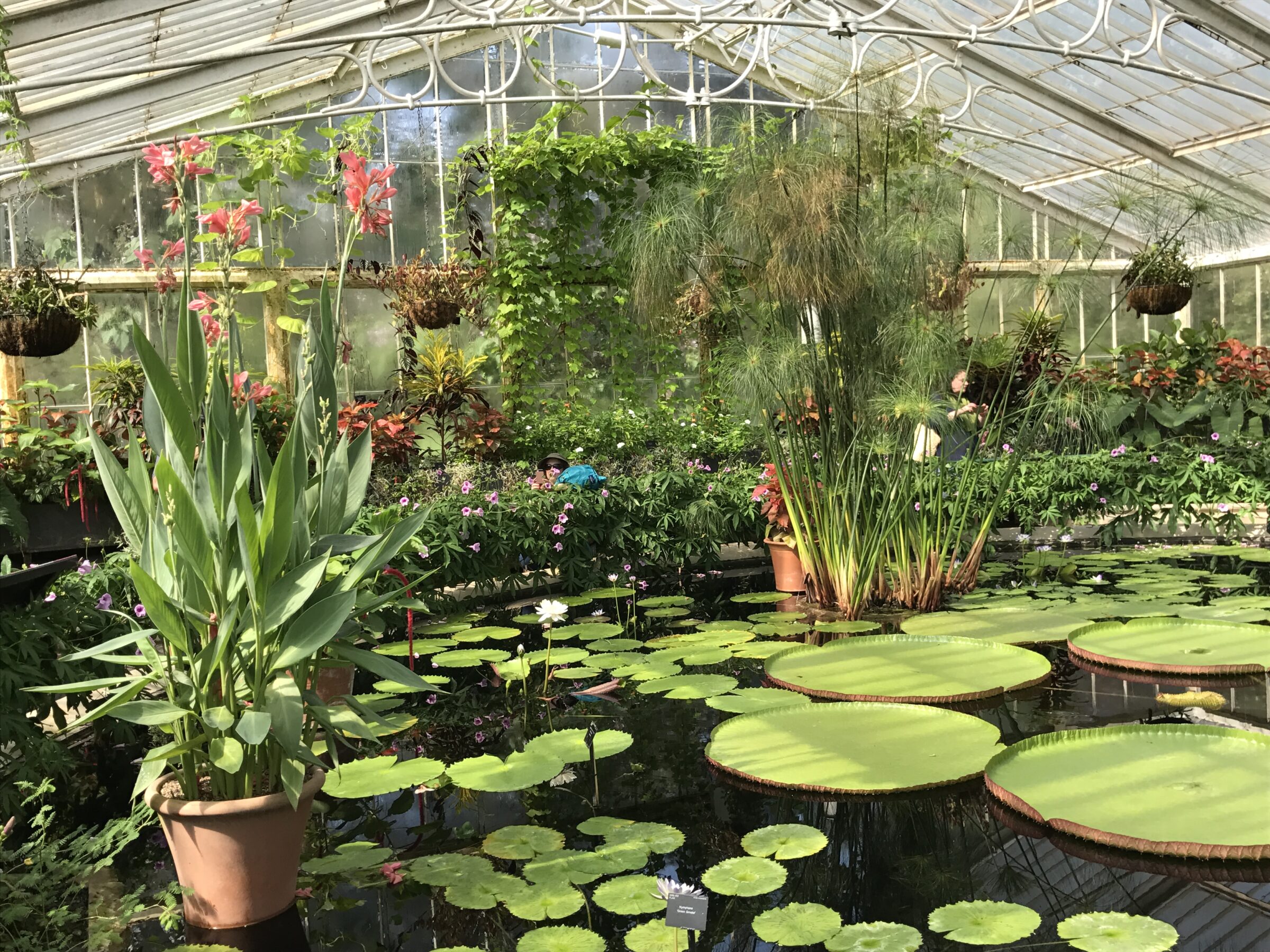 Kew Gardens