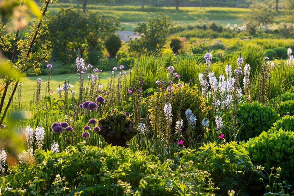 Chelsea Flower Show