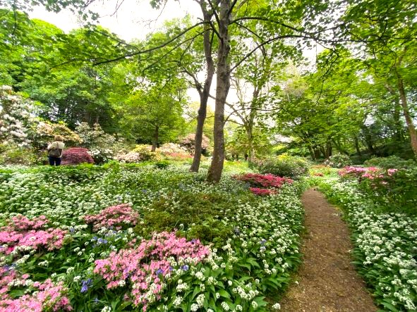 Bonython Estate Garden