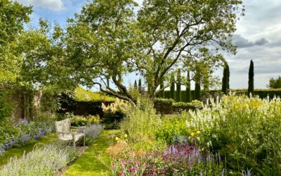 Town Place Garden