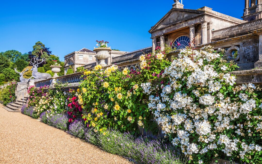 Bowood House & Gardens